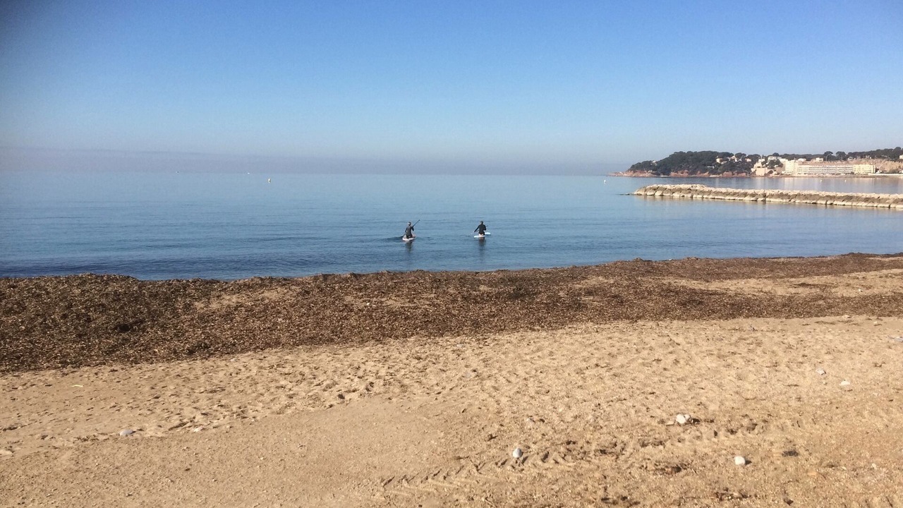 Photo of Others in Sanary-sur-Mer