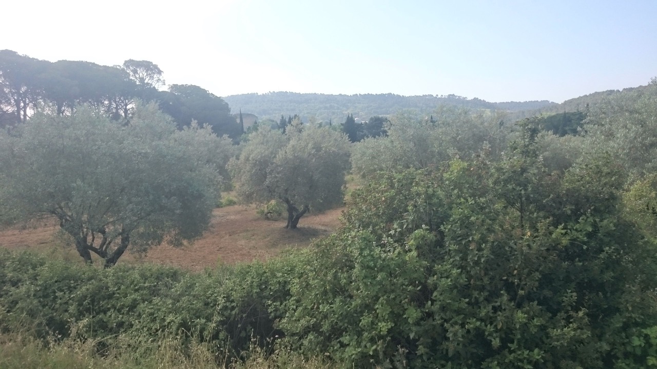 Photo of Outdoor in Lourmarin
