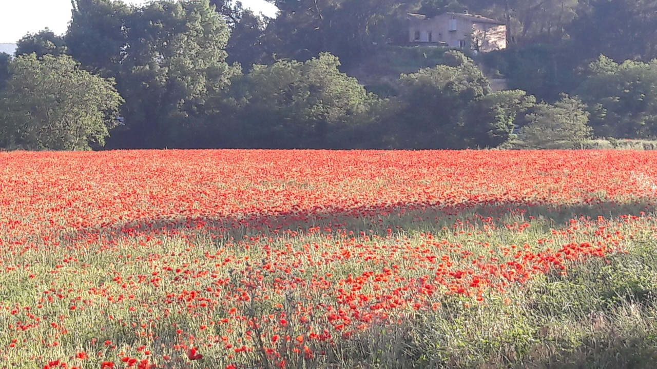 Photo of Others in Lourmarin
