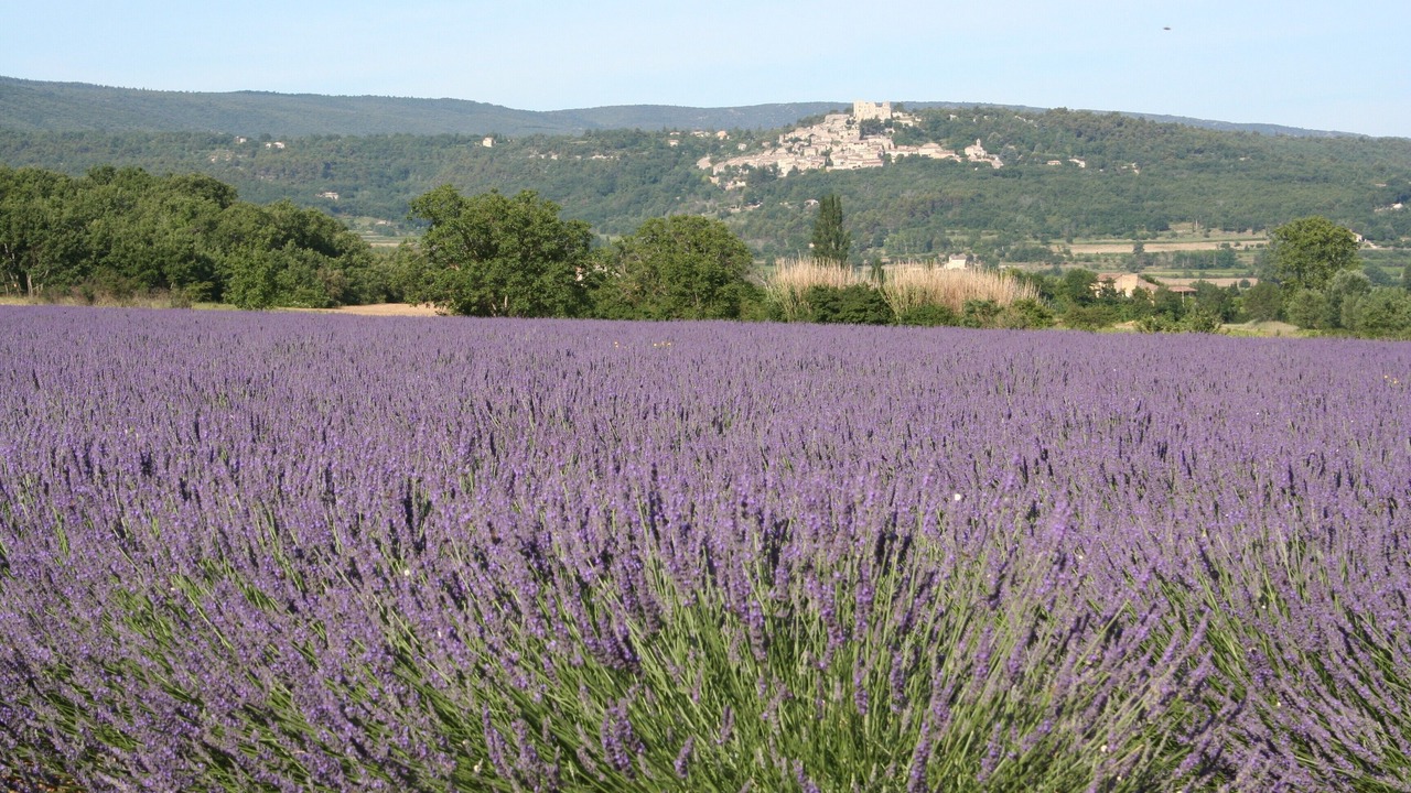 Photo of Outdoor in Bonnieux