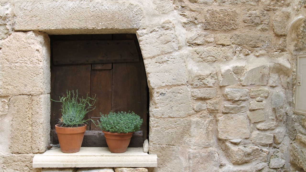 Photo of Others in Bonnieux