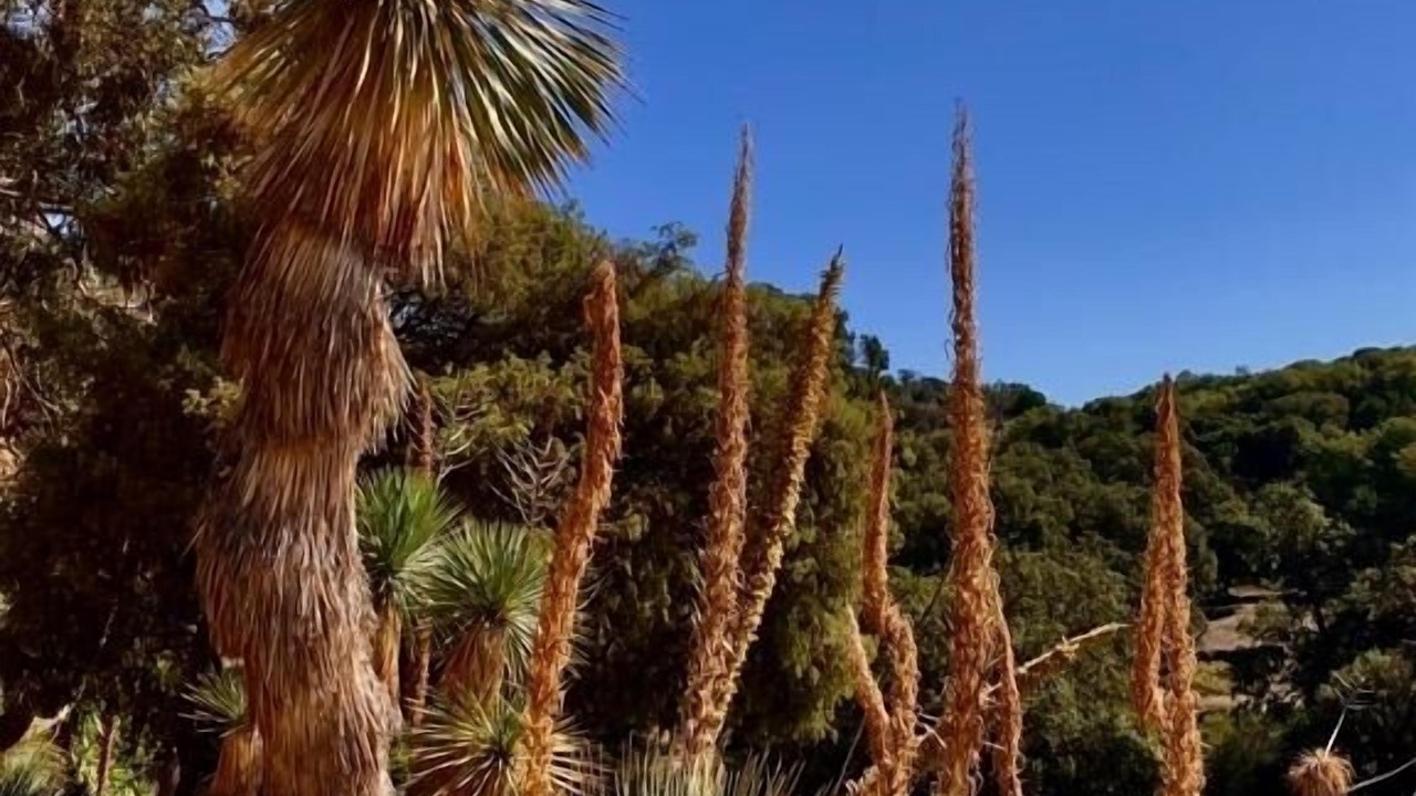 Photo of Outdoor in Cavaliere