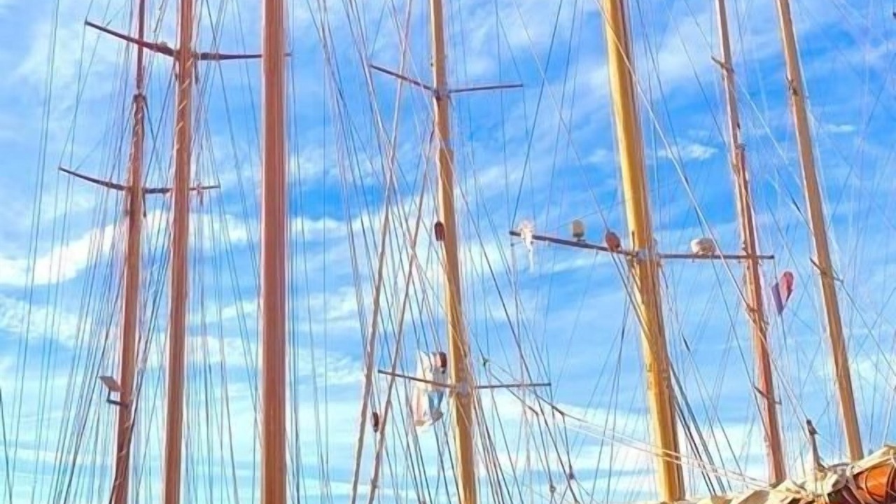 Photo of Others in Cavaliere