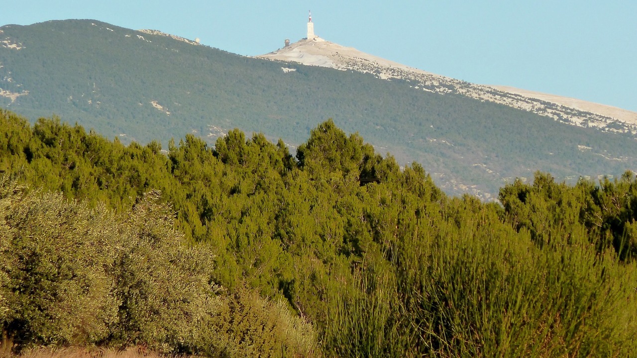 Photo of Outdoor in Caromb