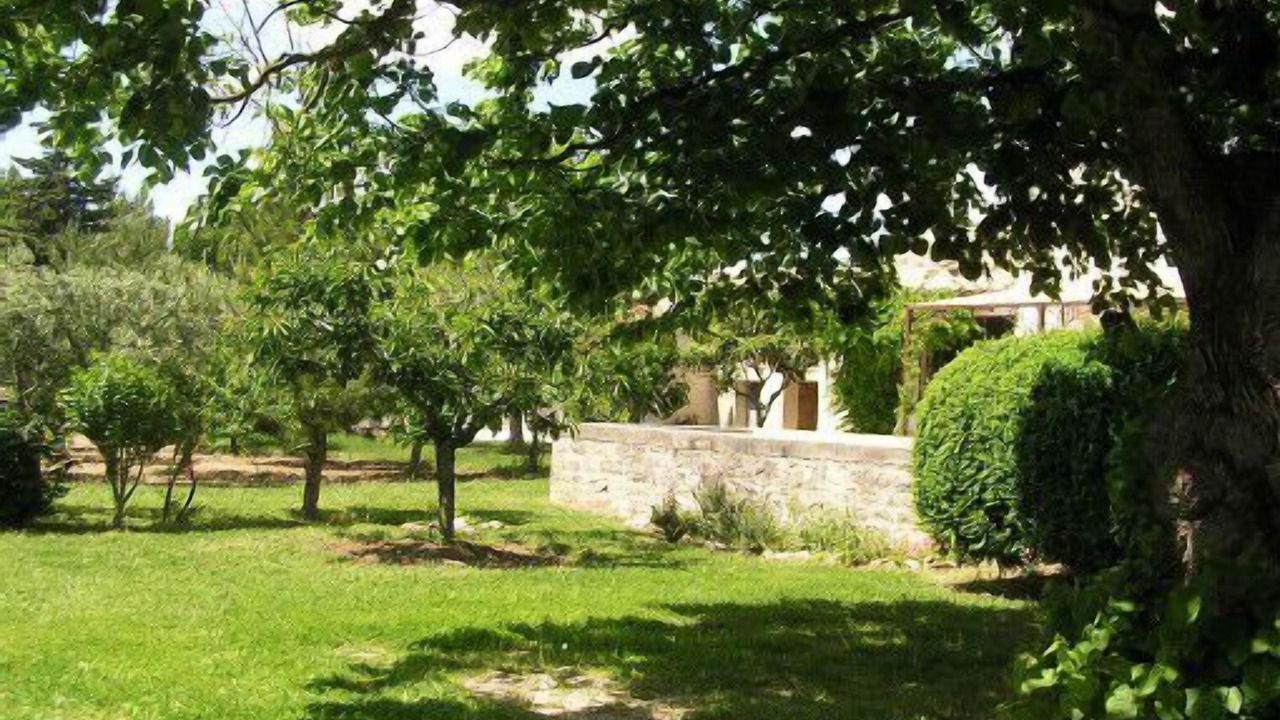 Photo of Outdoor in Caromb
