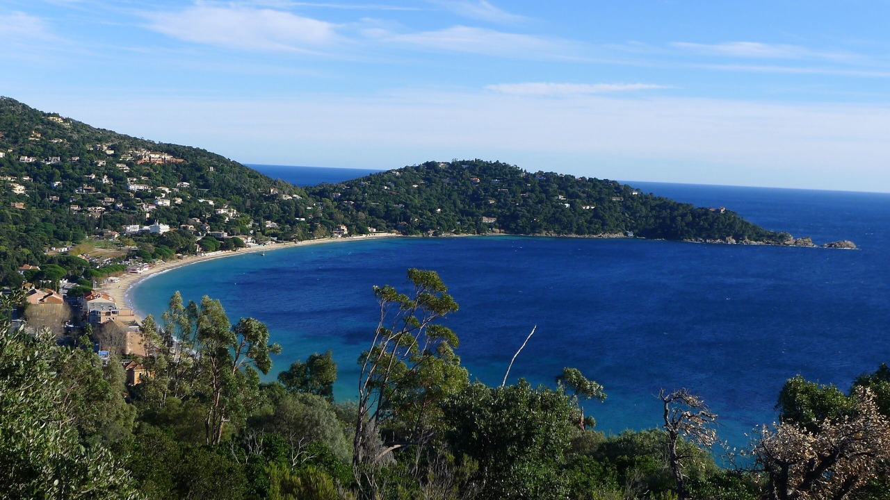 Photo of Others in Cavaliere