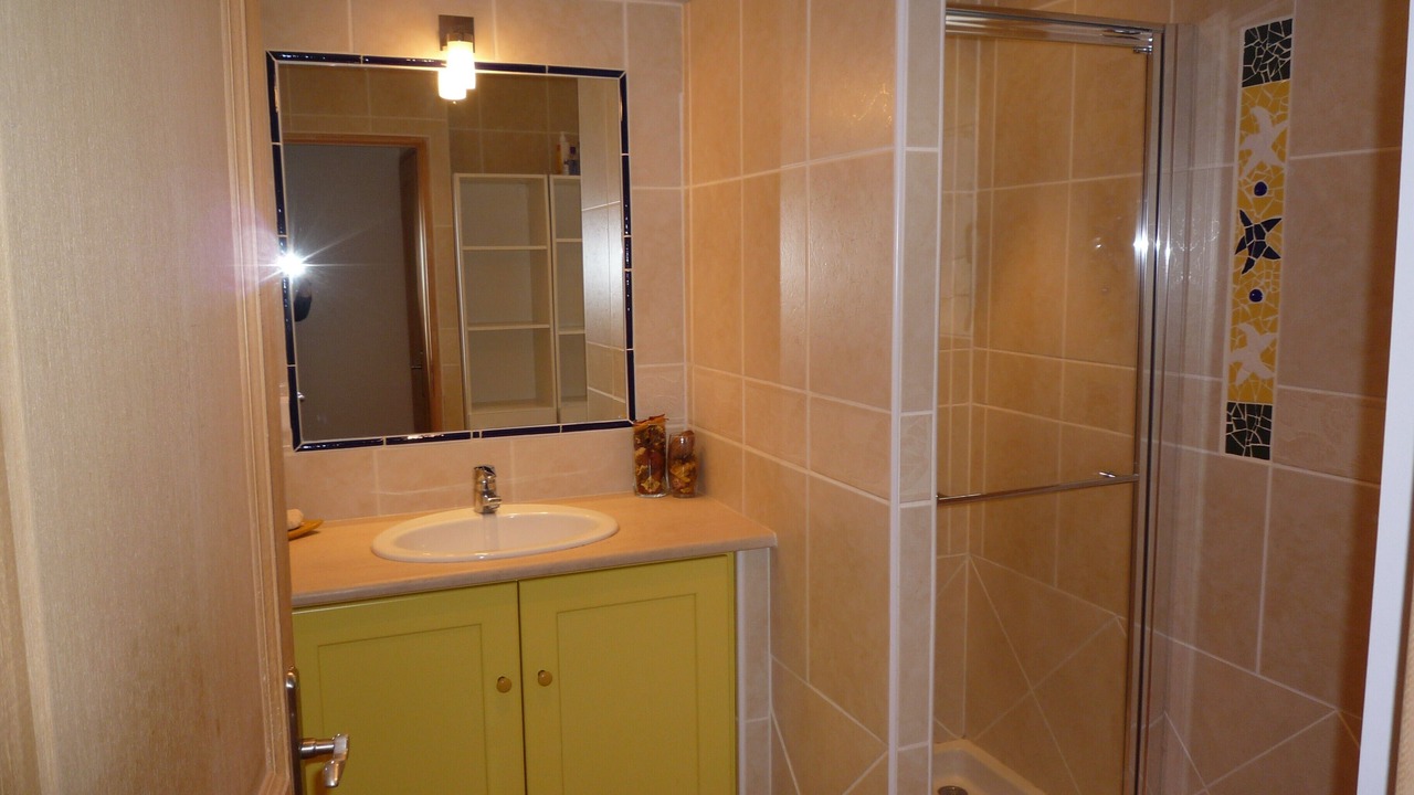 Photo of Bathroom in Velleron