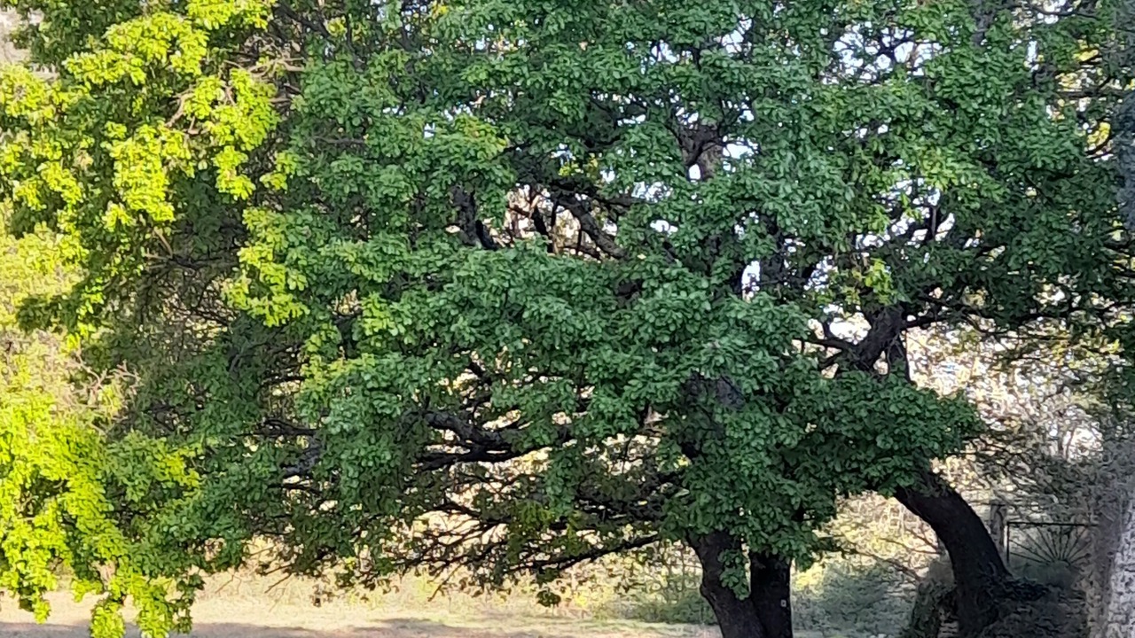 Photo of Outdoor in Robion