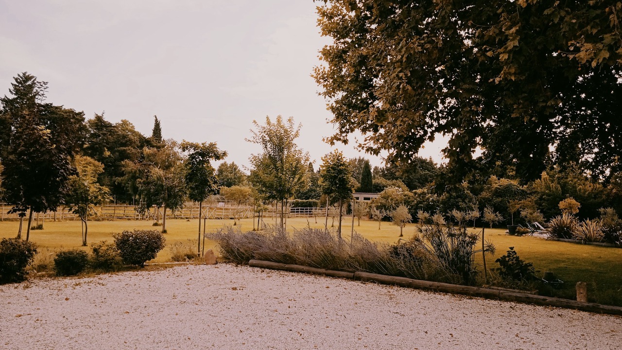 Photo of Outdoor in Chateaurenard