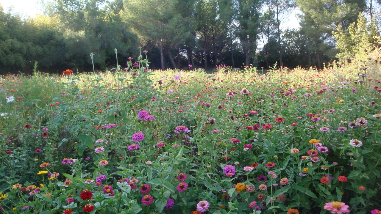 Photo of Outdoor in Saint-Gilles