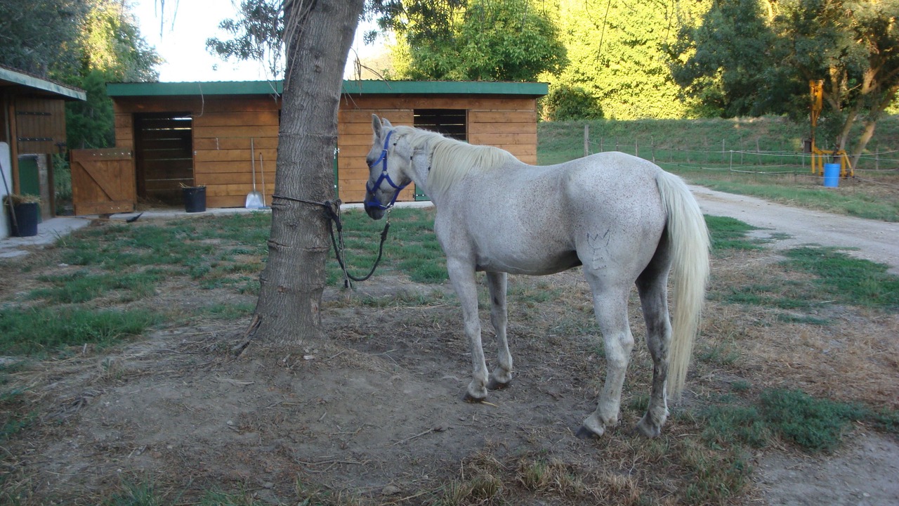 Photo of Outdoor in Saint-Gilles