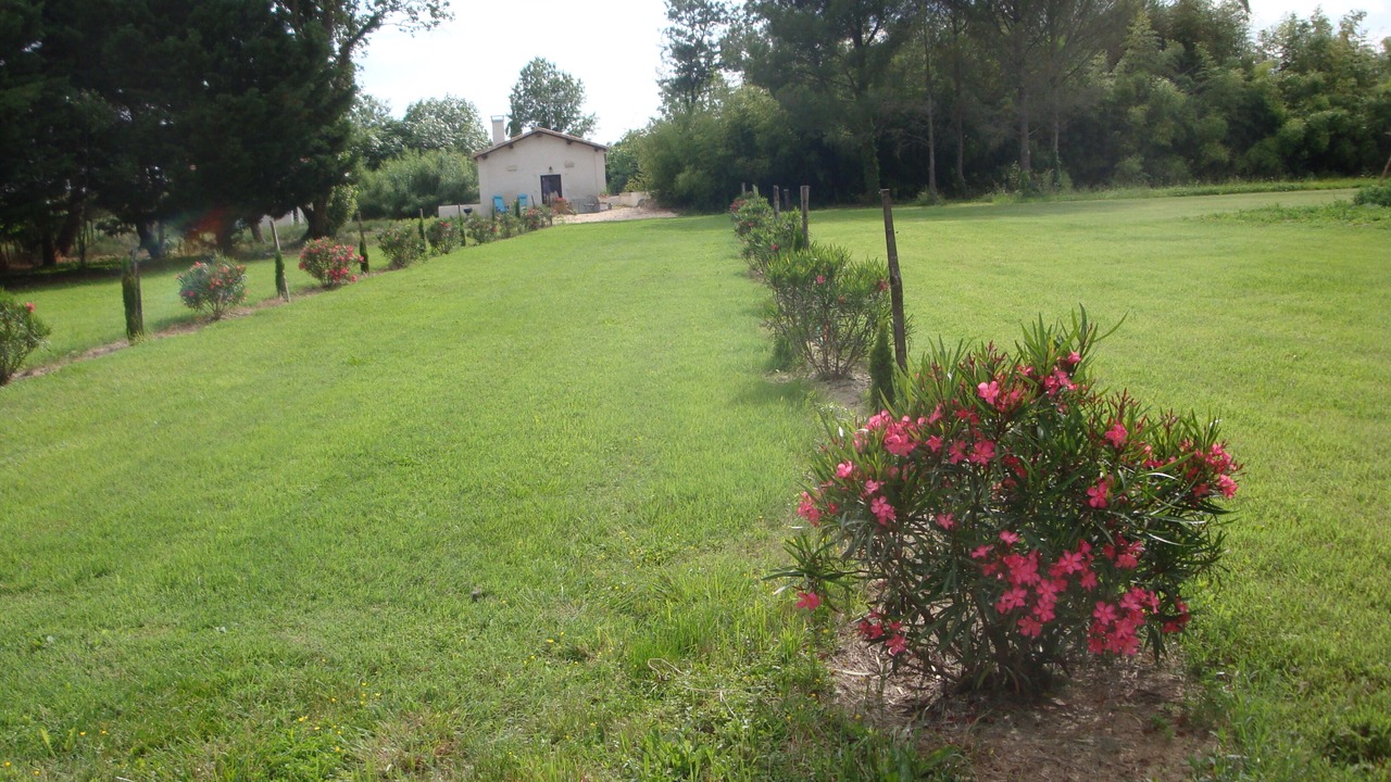 Photo of Outdoor in Saint-Gilles