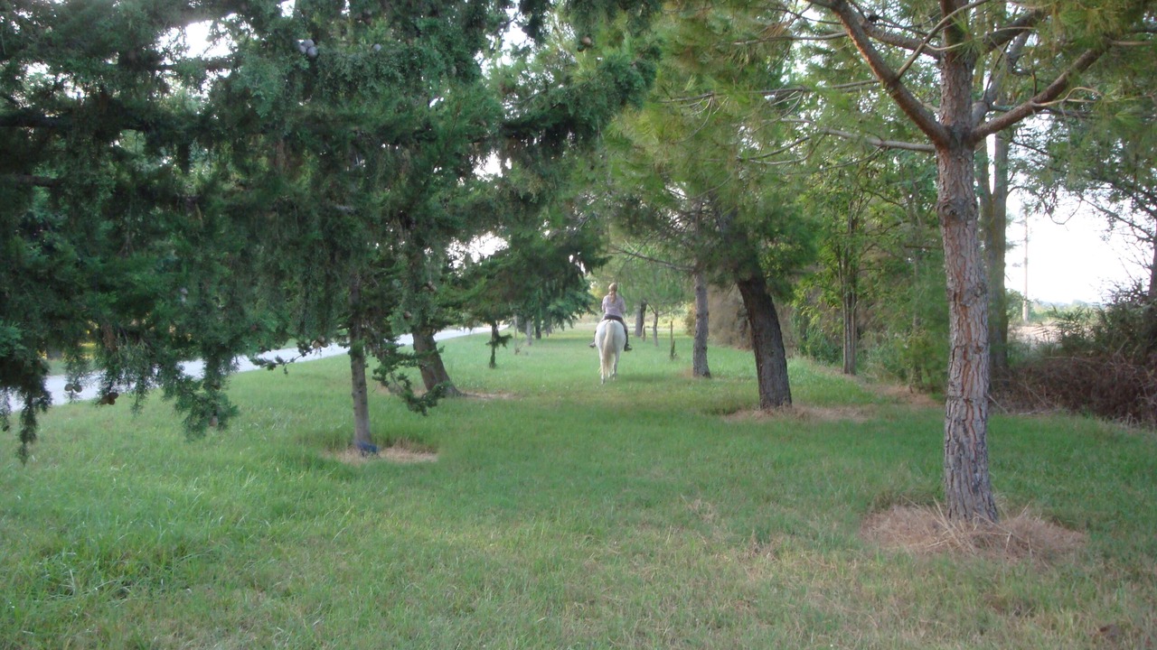 Photo of Outdoor in Saint-Gilles