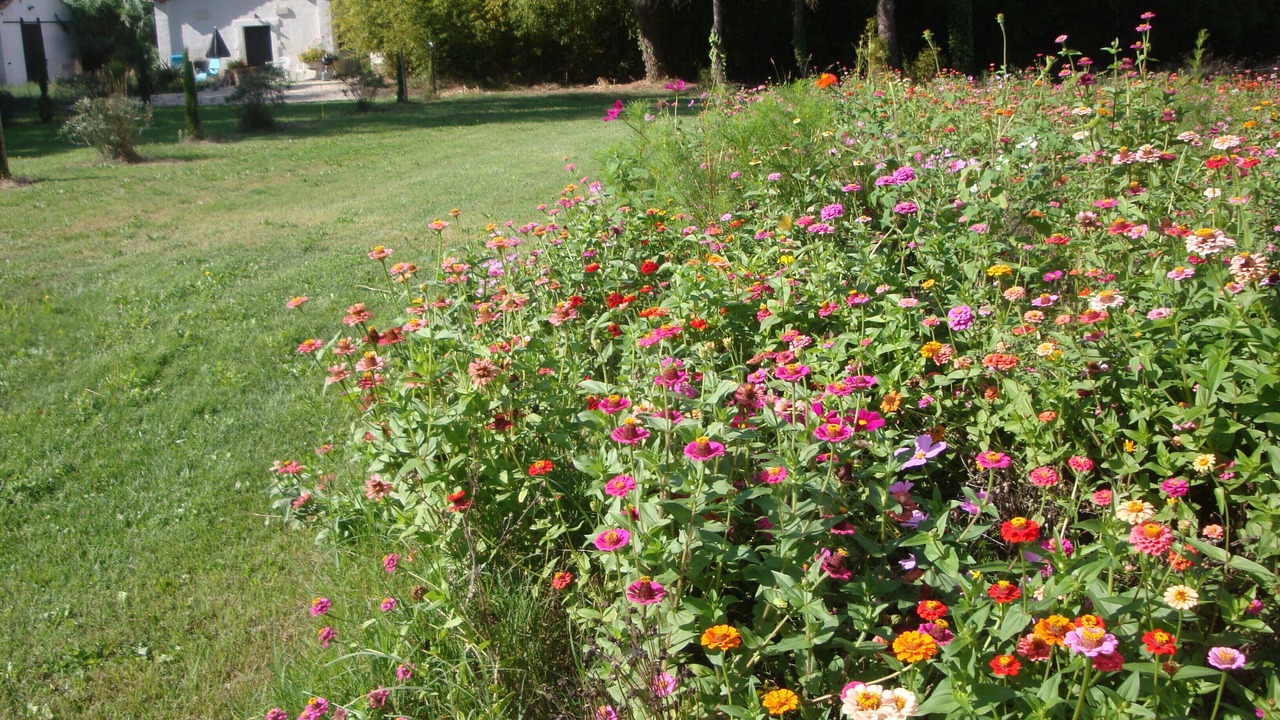 Photo of Outdoor in Saint-Gilles