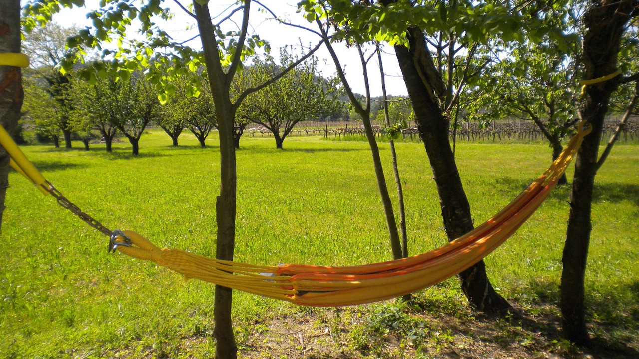 Photo of Outdoor in Menerbes