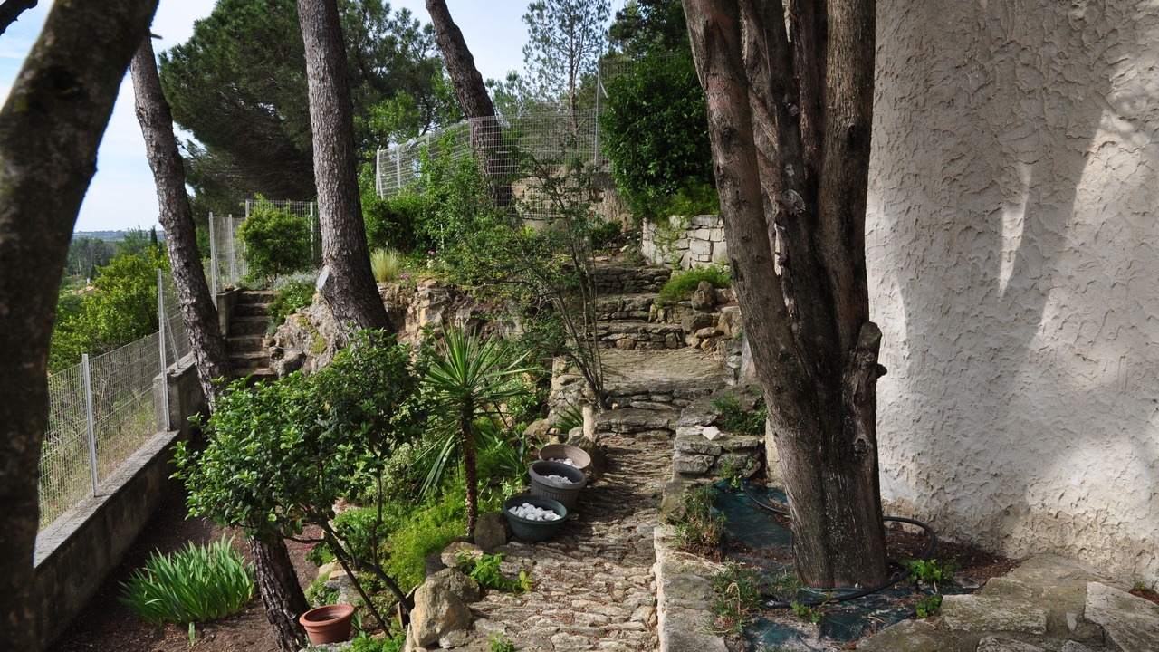 Photo of Outdoor in Orange