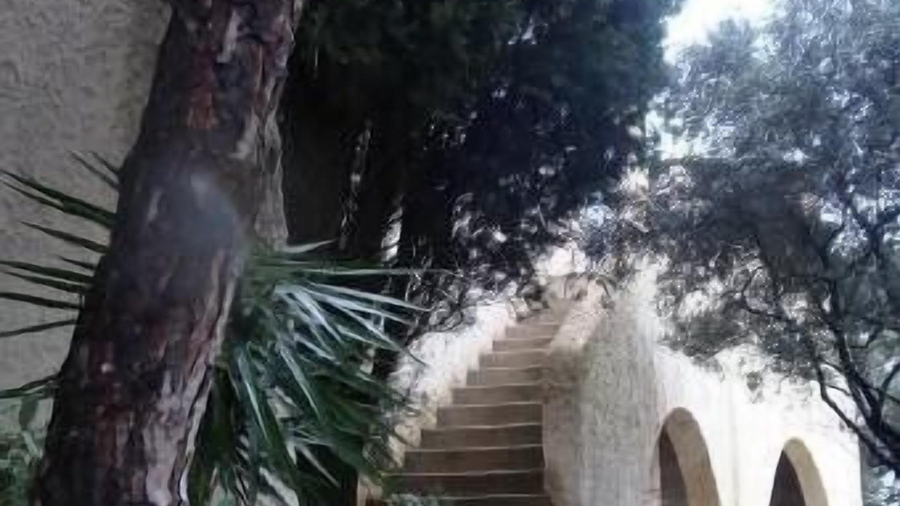 Photo of Outdoor in Orange