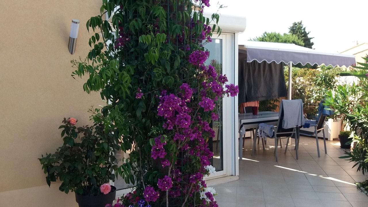 Photo of Outdoor in Les Bormettes