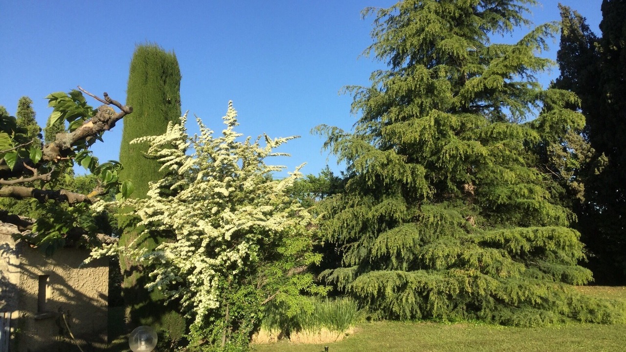 Photo of Outdoor in Chateaurenard
