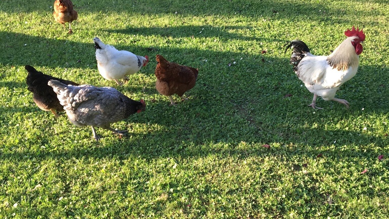 Photo of Outdoor in Chateaurenard