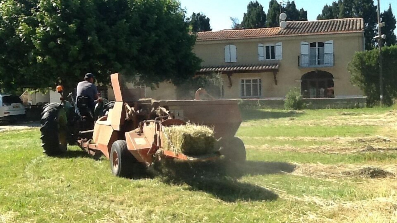 Photo of Outdoor in Chateaurenard