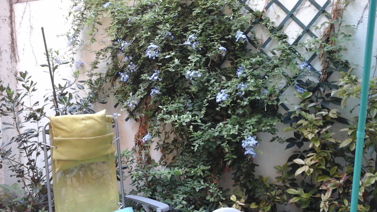 Photo of Outdoor in La Conception