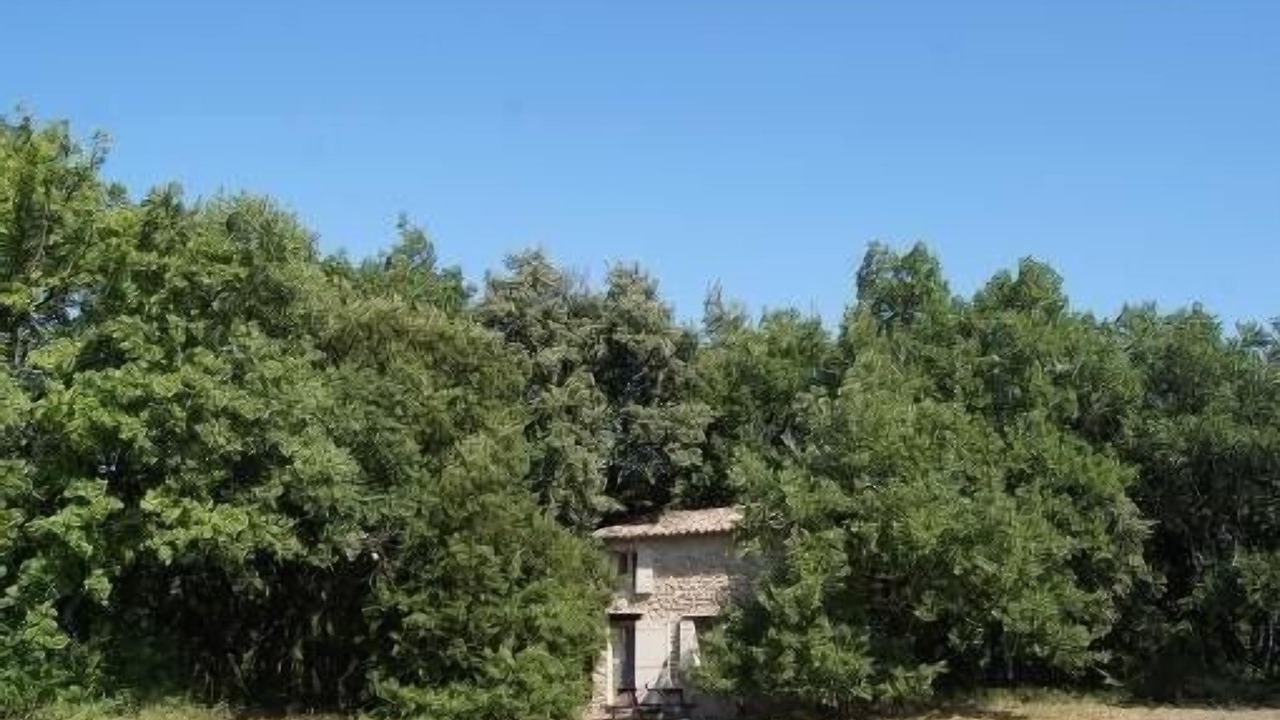 Photo of Outdoor in Gordes