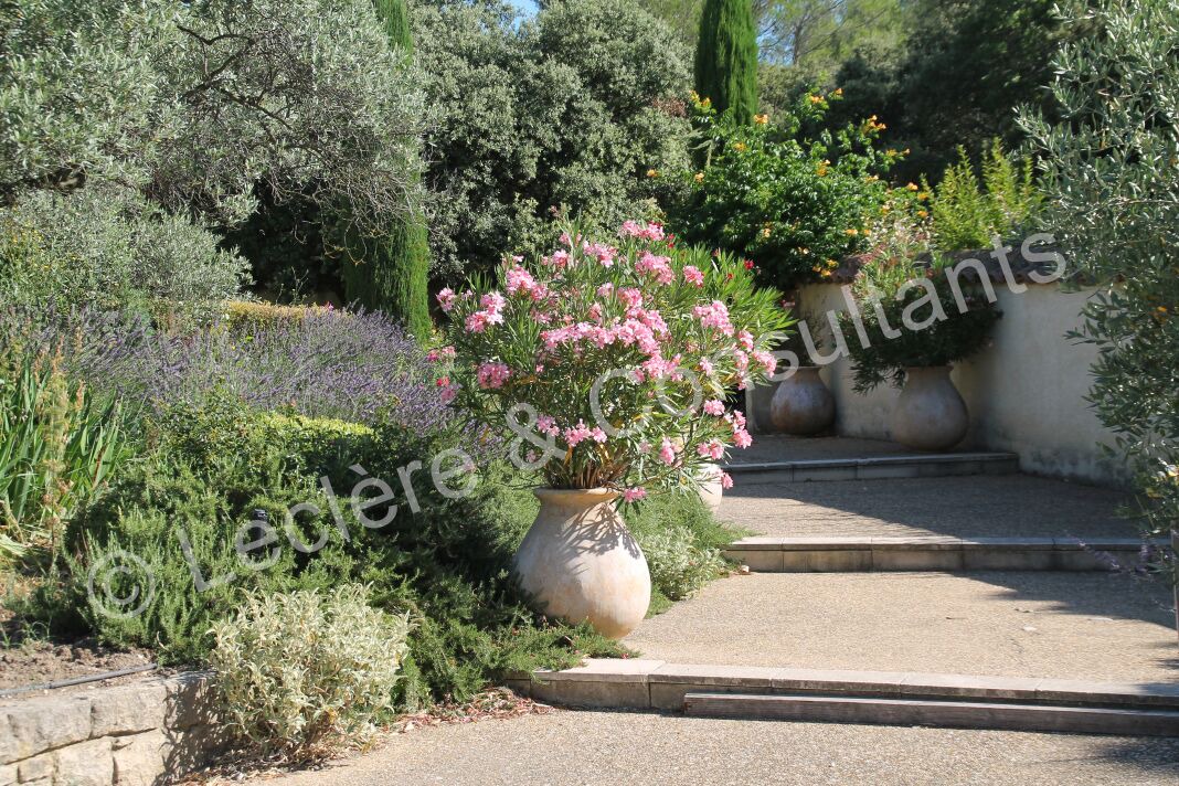 Photo of Outdoor in Crillon-le-Brave