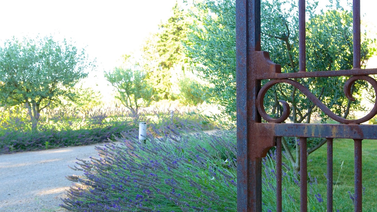 Photo of Outdoor in Molleges