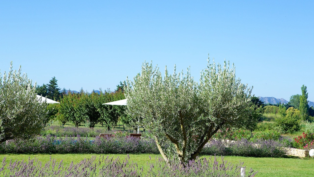 Photo of Outdoor in Molleges