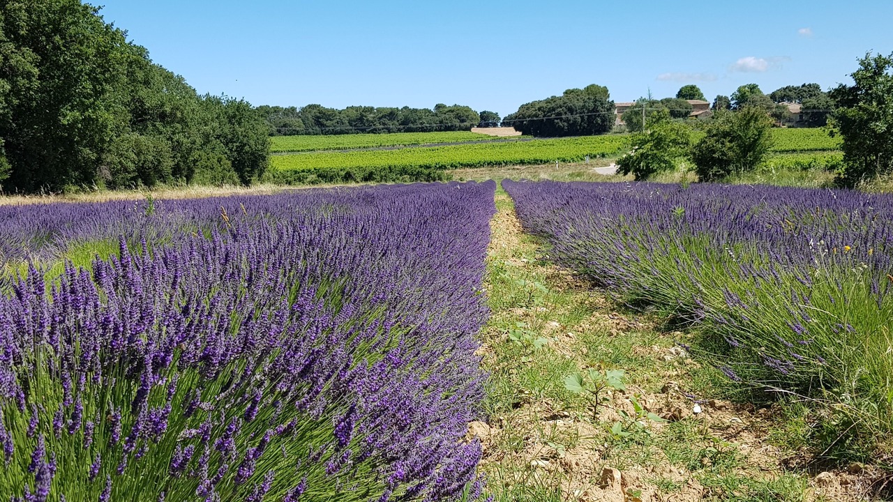 Photo of Outdoor in Mondragon
