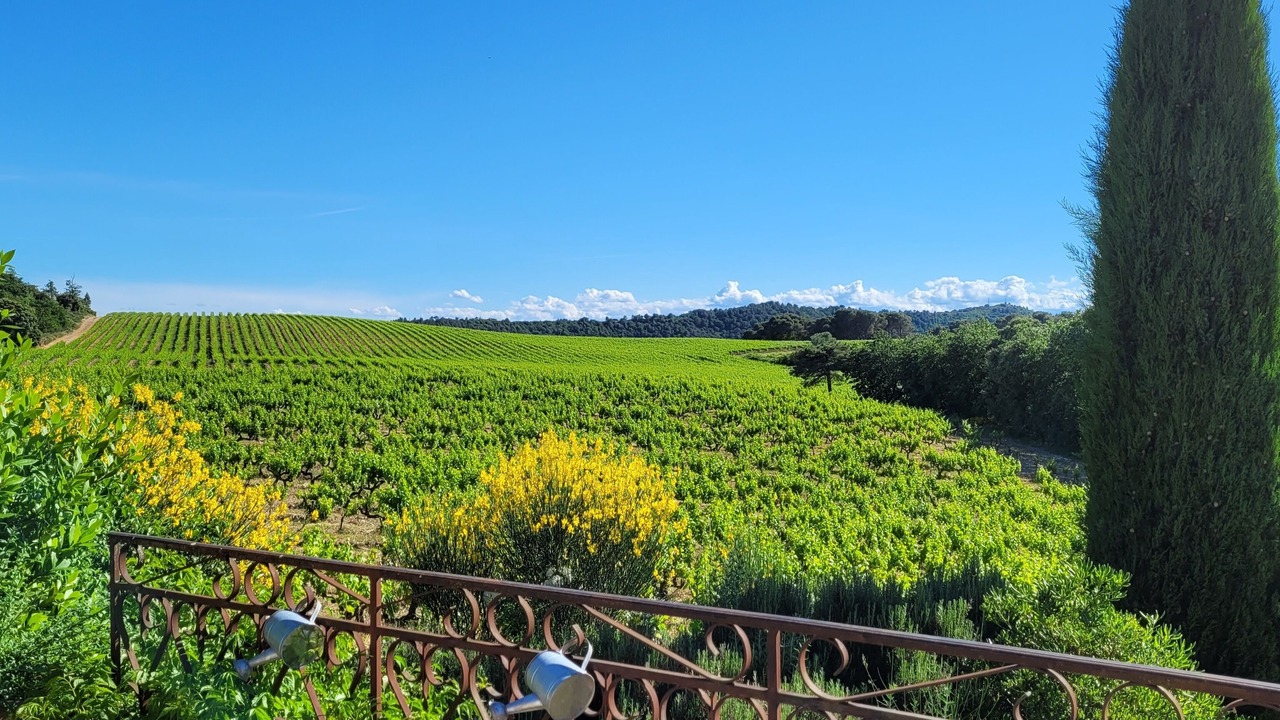 Photo of Outdoor in Mondragon