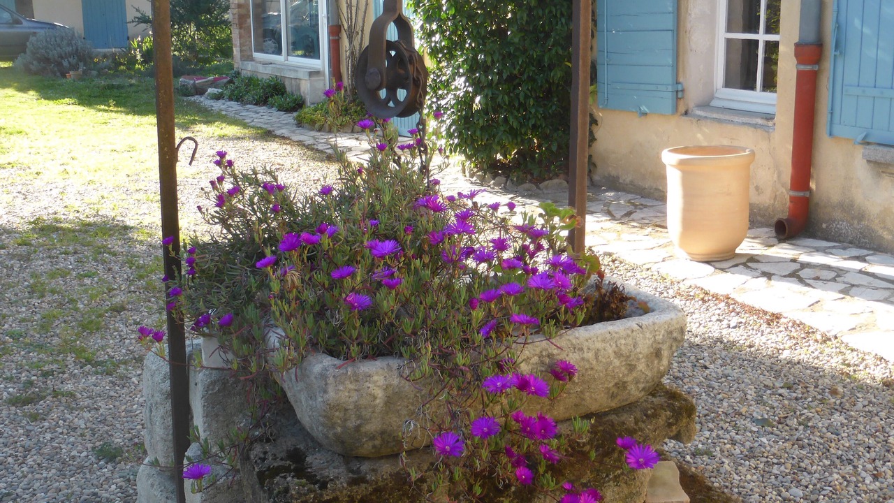 Photo of Outdoor in Montfavet