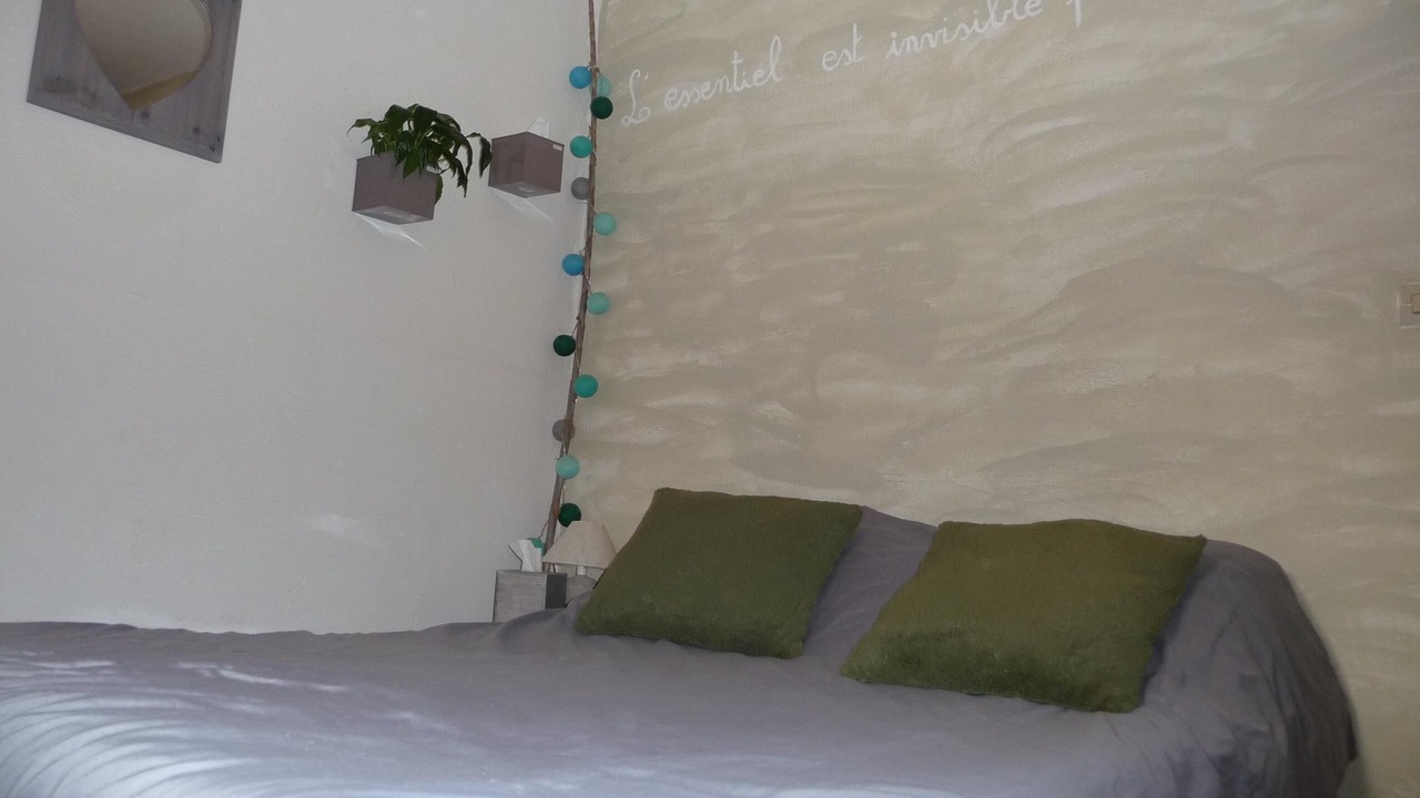 Photo of Bedroom in Viens