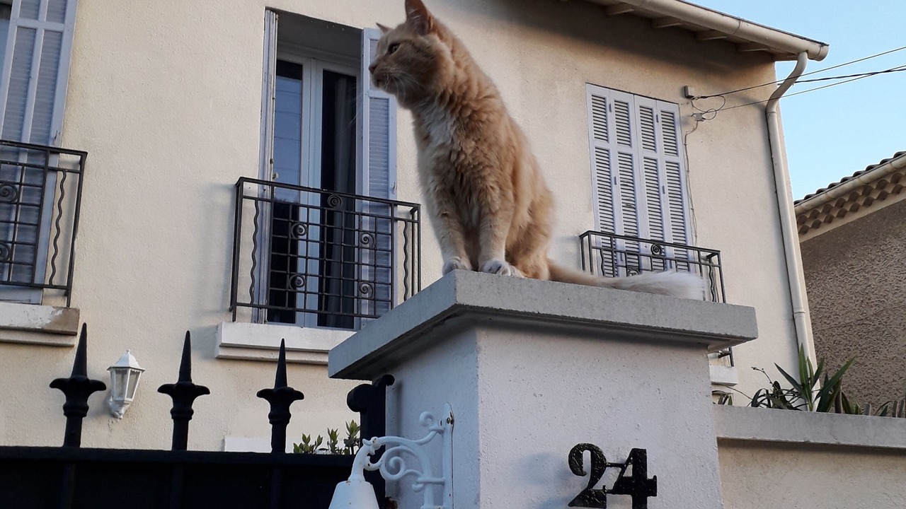 Photo of Outdoor in Mazargues