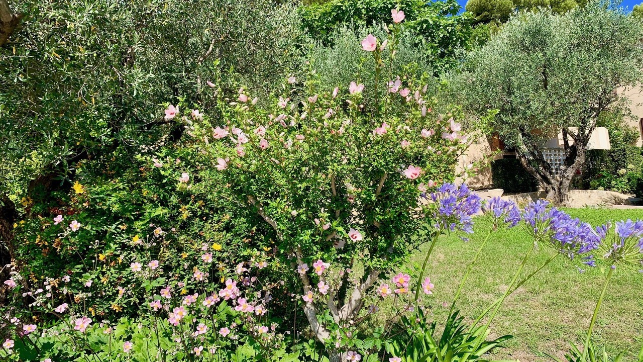 Photo of Outdoor in Vaison-la-Romaine