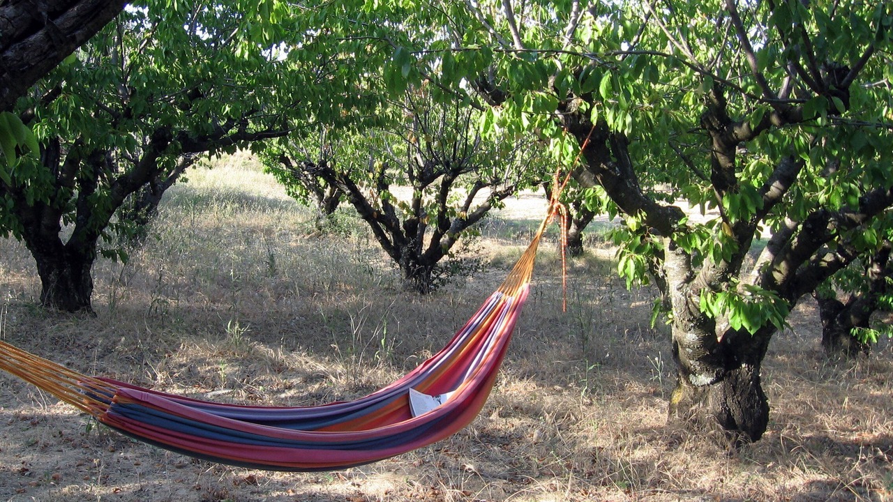 Photo of Outdoor in Gargas