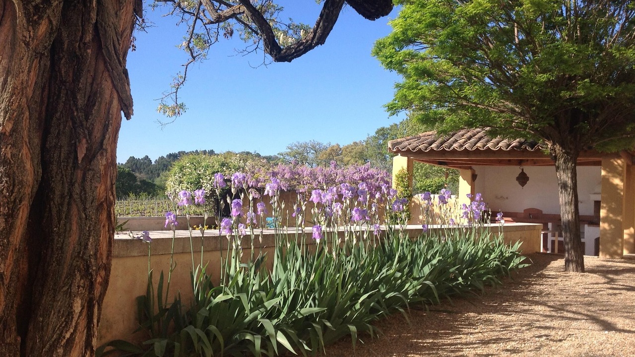 Photo of Outdoor in Gargas