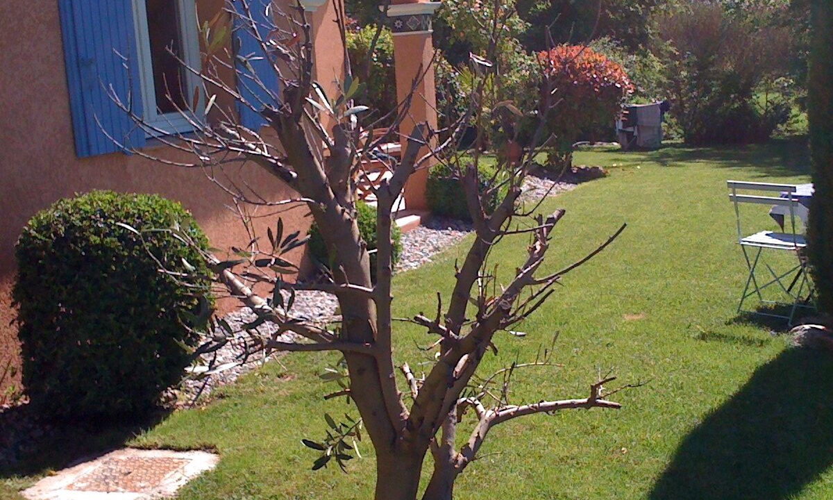 Photo of Outdoor in Pierrevert