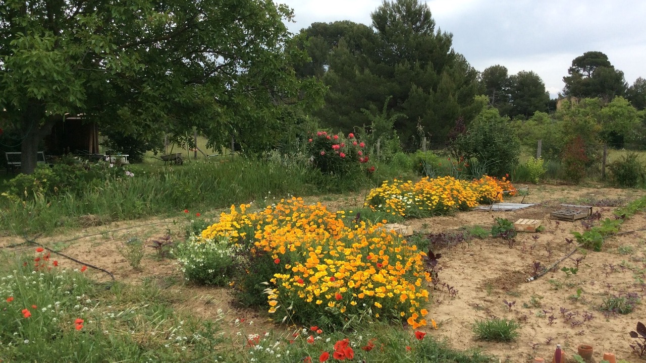 Photo of Outdoor in Pertuis