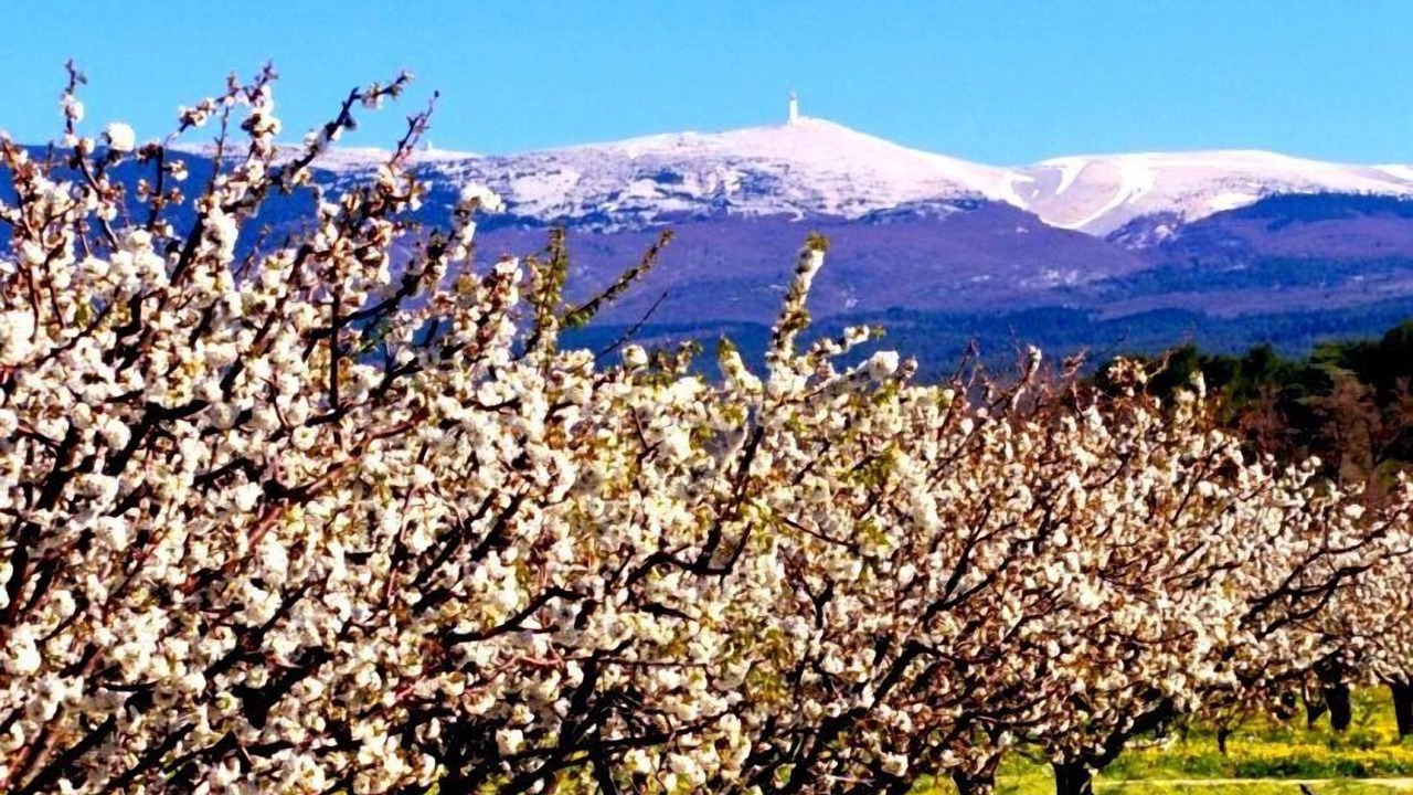 Photo of Outdoor in Loriol-du-Comtat