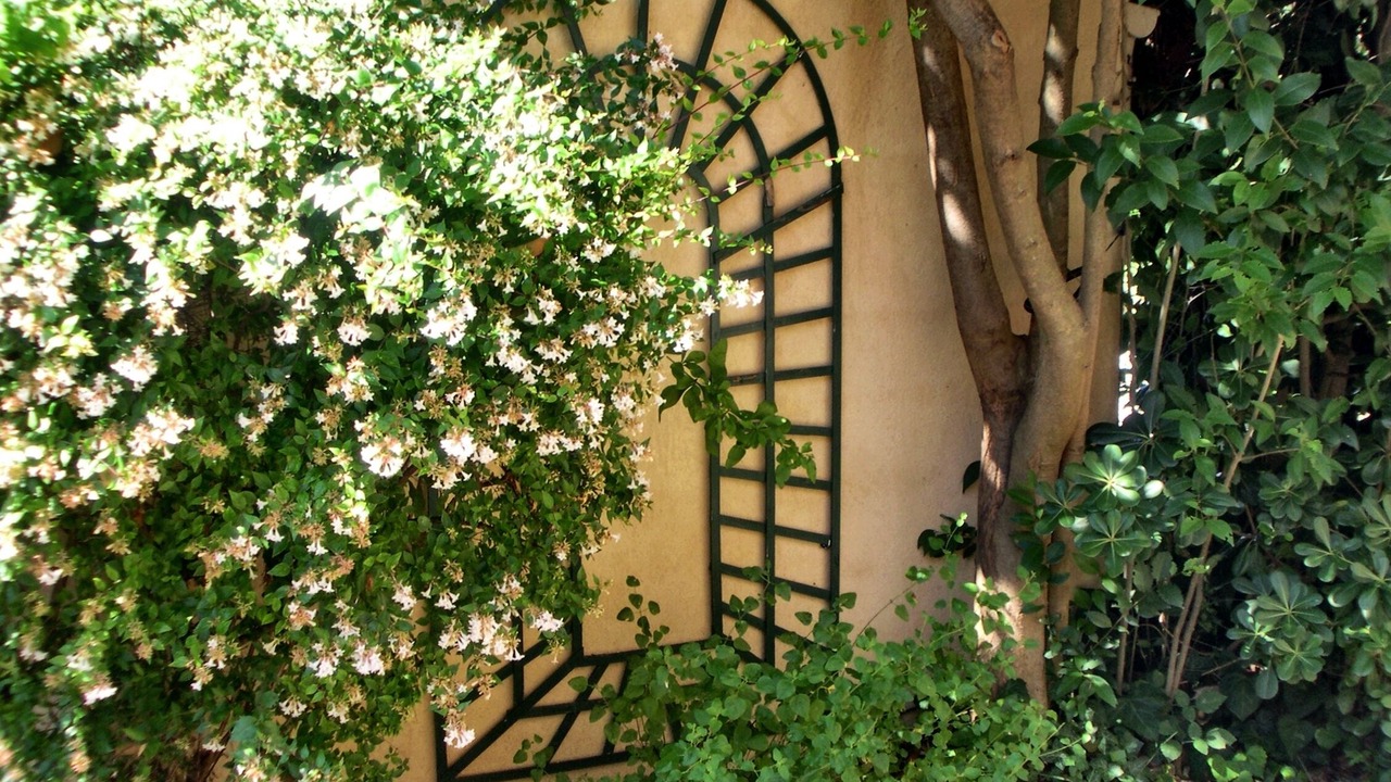 Photo of Outdoor in Saint-Cyr-sur-Mer