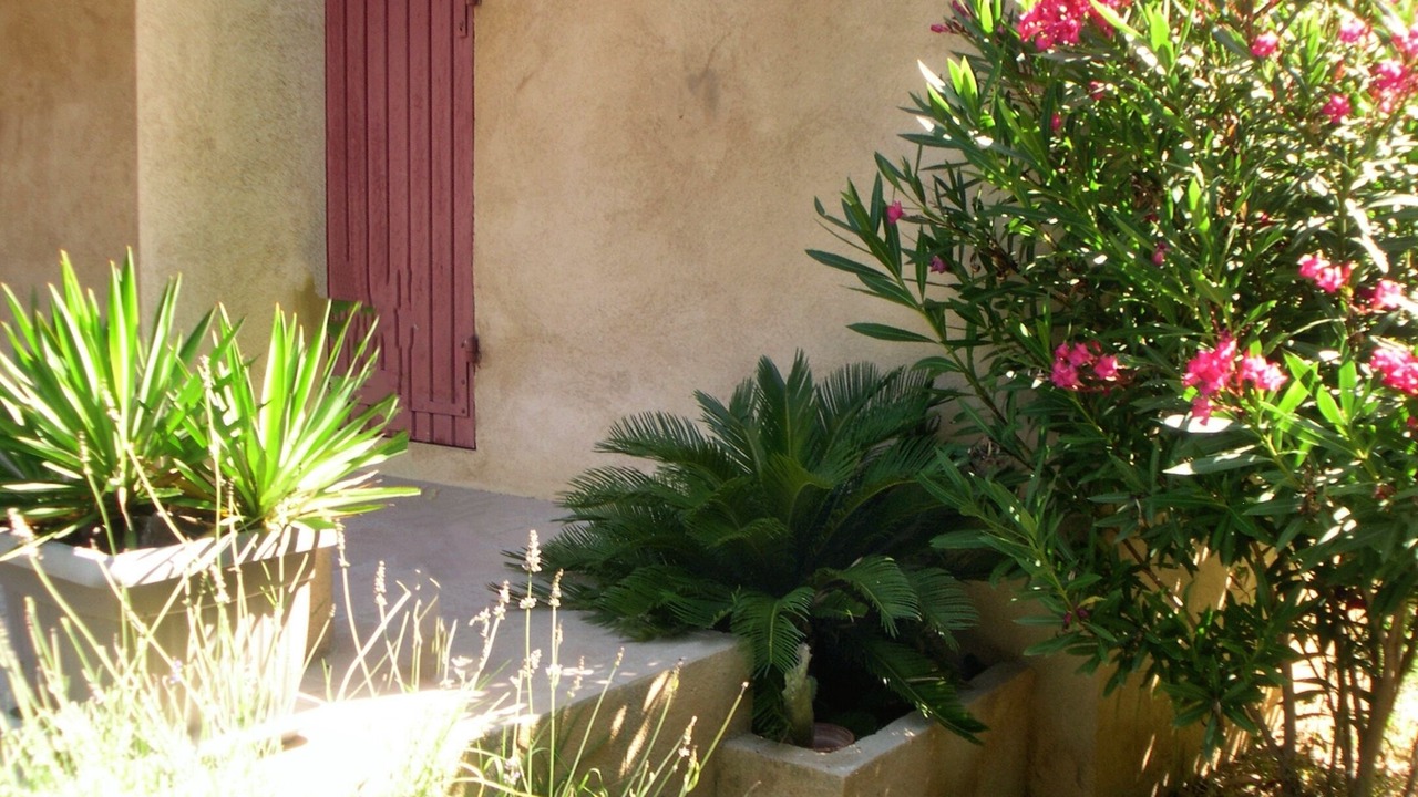 Photo of Outdoor in Saint-Cyr-sur-Mer