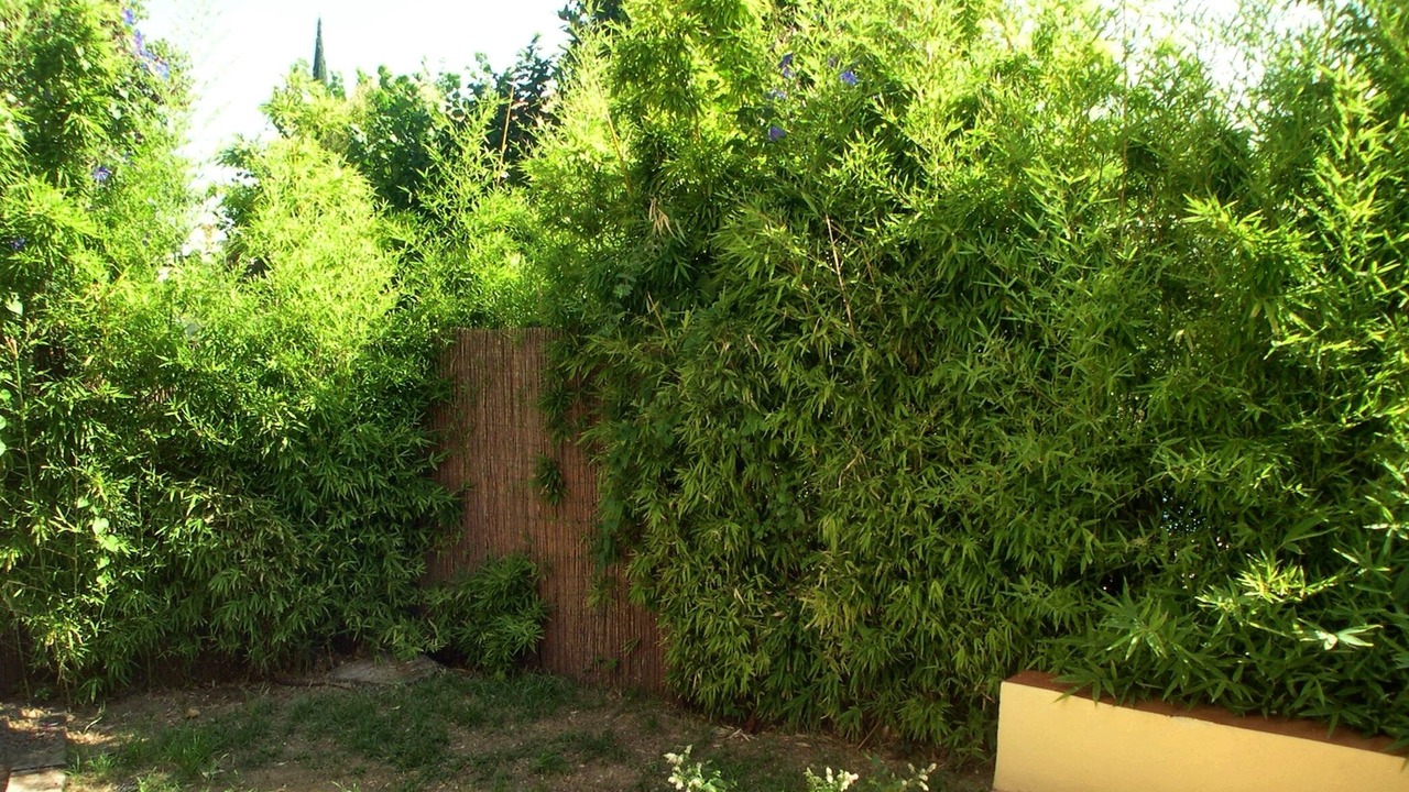 Photo of Outdoor in Saint-Cyr-sur-Mer