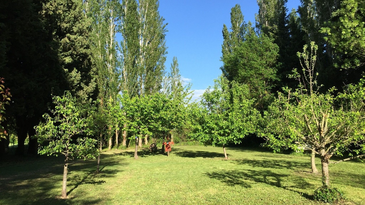 Photo of Outdoor in Avignon