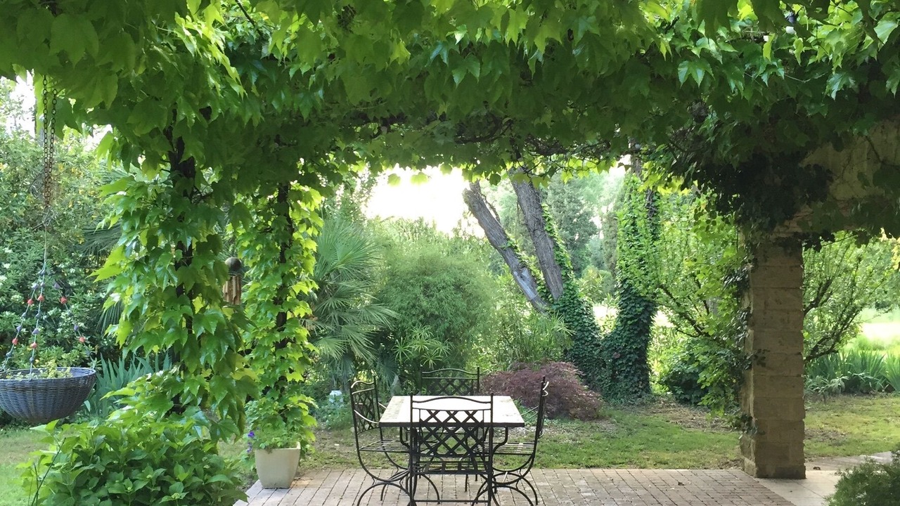 Photo of Outdoor in Avignon