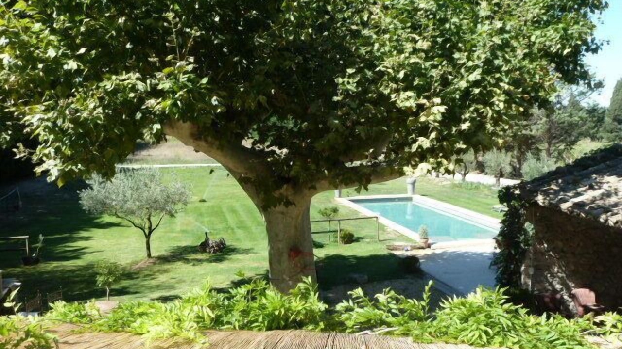 Photo of Outdoor in Cheval-Blanc