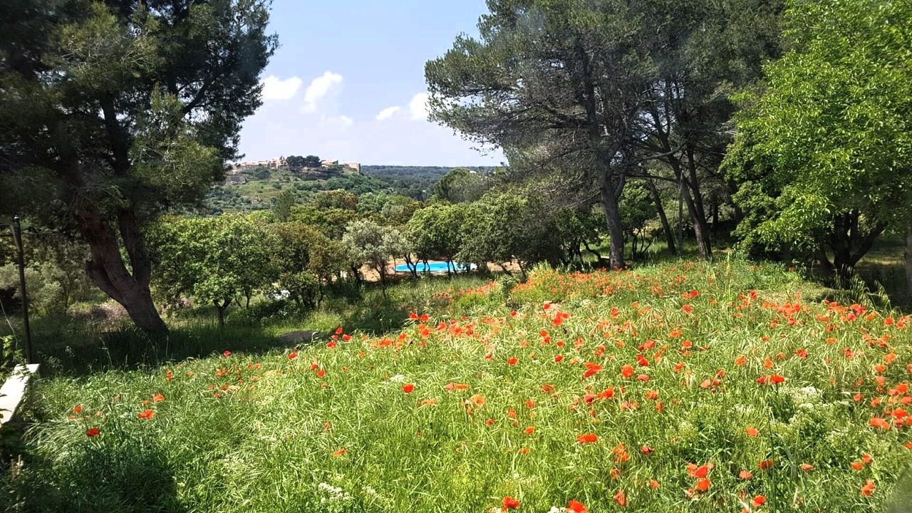 Photo of Outdoor in Miramas