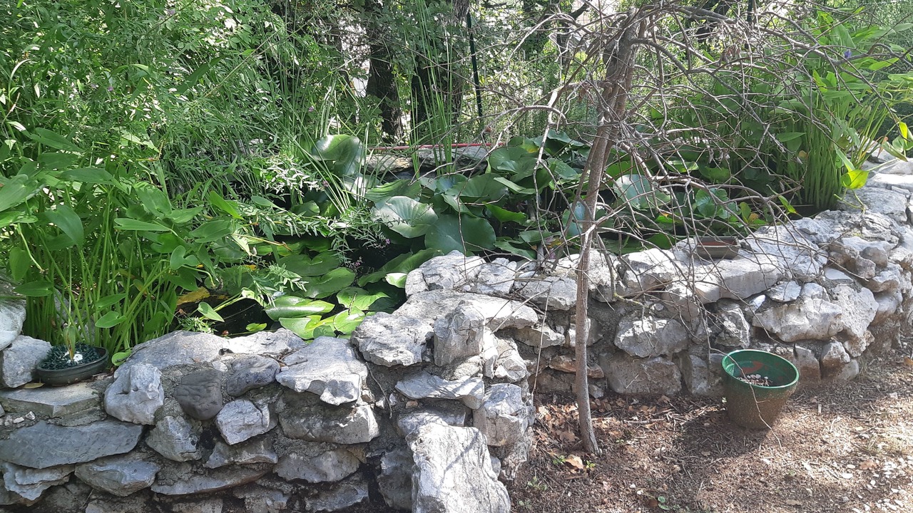 Photo of Outdoor in Quinson