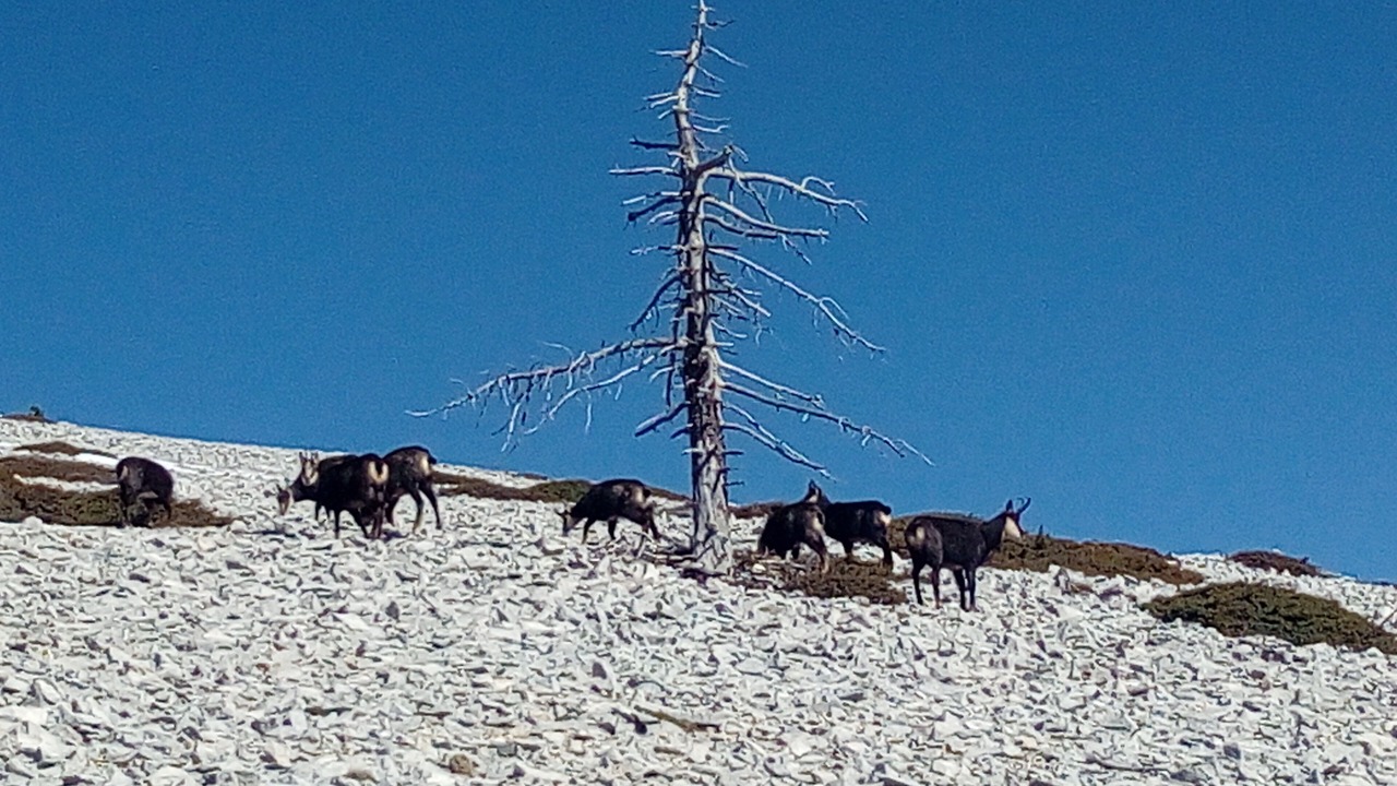 Photo of Others in Mont Serein